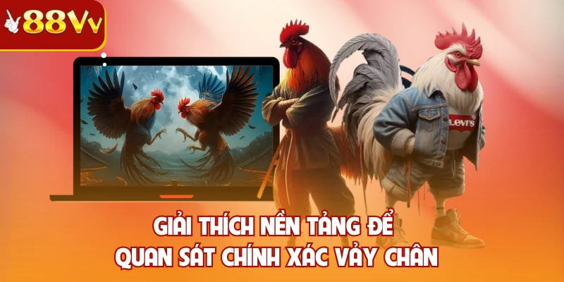 Giải thích nền tảng để quan sát chính xác vảy chân