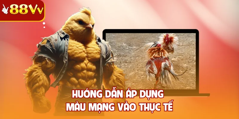 Hướng dẫn áp dụng màu mạng vào thực tế